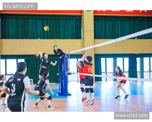 南京排球队最新比赛经验分享排球爱好者必看TOP10技巧解析